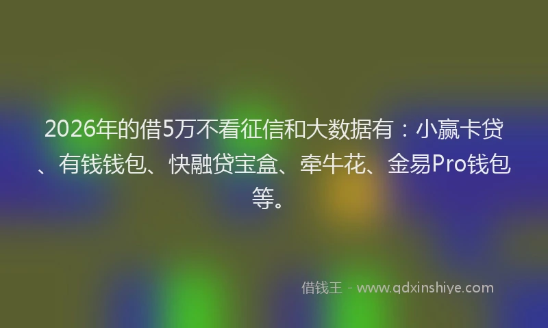 2026年的借5万不看征信和大数据有：小赢卡贷、有钱钱包、快融贷宝盒、牵牛花、金易Pro钱包等。