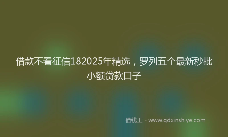 借款不看征信182025年精选，罗列五个最新秒批小额贷款口子