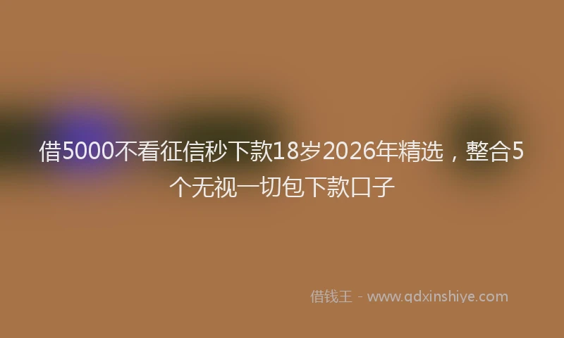 借5000不看征信秒下款18岁2026年精选,整合5个无视一切包下款口子
