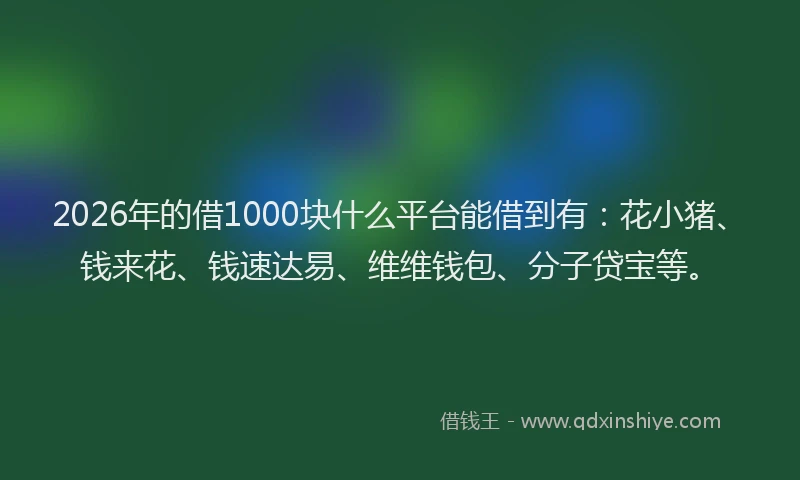 2026年的借1000块什么平台能借到有：花小猪、钱来花、钱速达易、维维钱包、分子贷宝等。