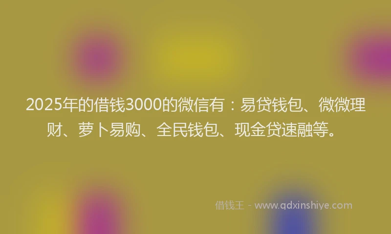 2025年的借钱3000的微信有:易贷钱包、微微理财、萝卜易购、全民钱包、现金贷速融等。