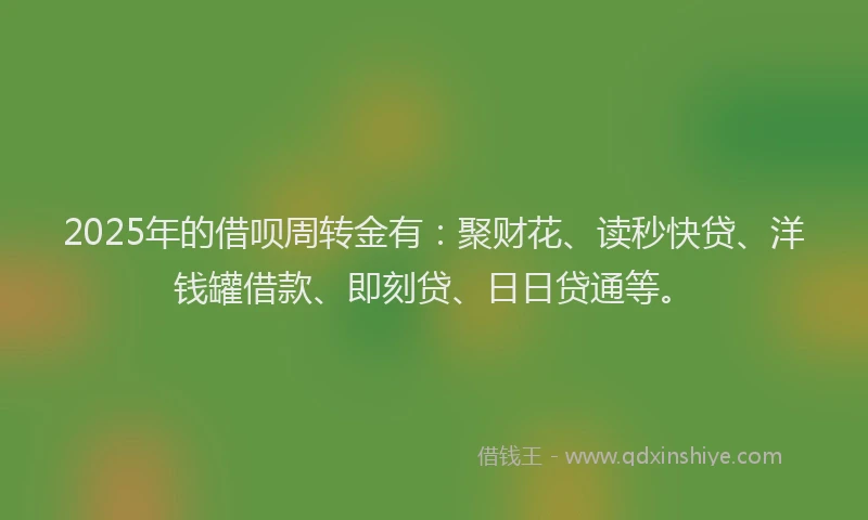 2025年的借呗周转金有:聚财花、读秒快贷、洋钱罐借款、即刻贷、日日贷通等。
