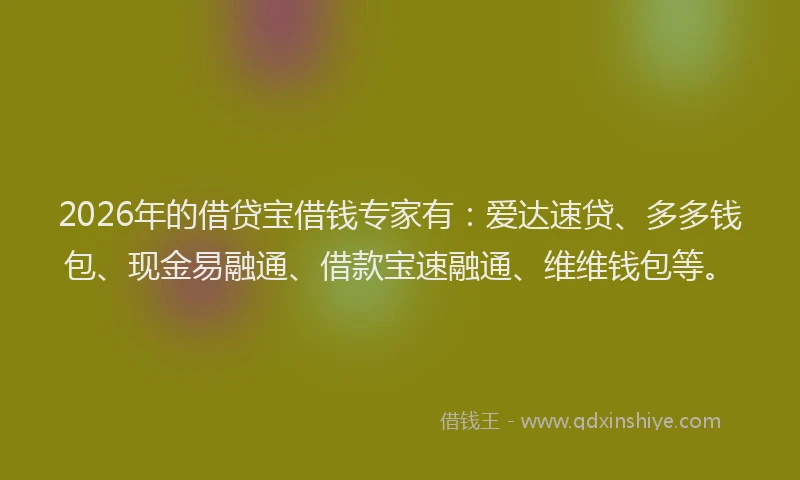 2026年的借贷宝借钱专家有：爱达速贷、多多钱包、现金易融通、借款宝速融通、维维钱包等。