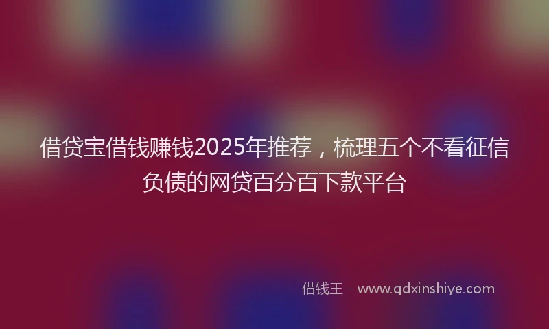 借贷宝借钱赚钱2025年推荐，梳理五个不看征信负债的网贷百分百下款平台
