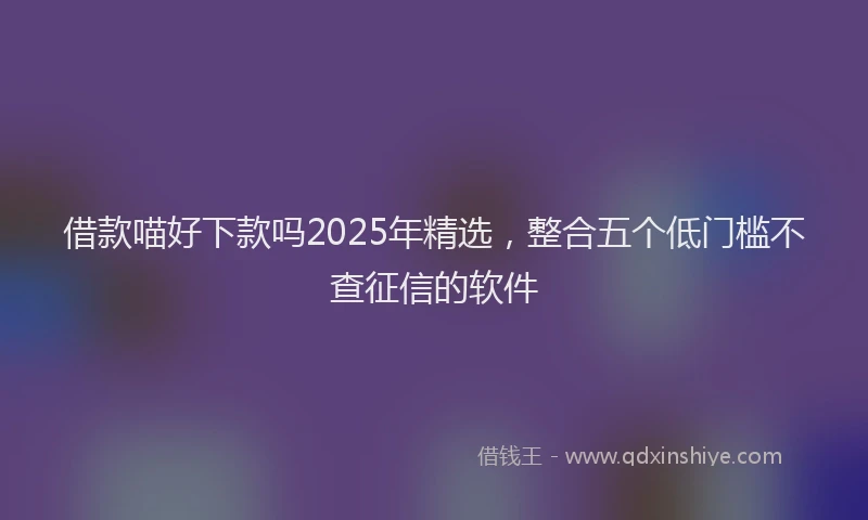 借款喵好下款吗2025年精选，整合五个低门槛不查征信的软件