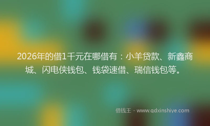 2026年的借1千元在哪借有：小羊贷款、新鑫商城、闪电侠钱包、钱袋速借、瑞信钱包等。