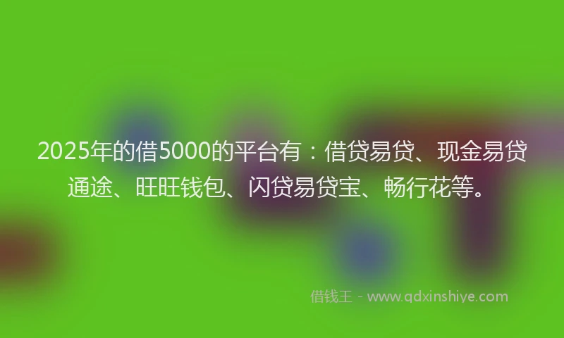 2025年的借5000的平台有:借贷易贷、现金易贷通途、旺旺钱包、闪贷易贷宝、畅行花等。