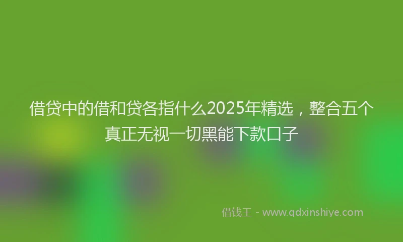 借贷中的借和贷各指什么2025年精选，整合五个真正无视一切黑能下款口子