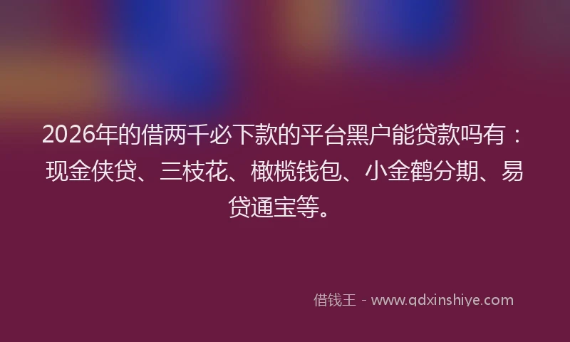 2026年的借两千必下款的平台黑户能贷款吗有:现金侠贷、三枝花、橄榄钱包、小金鹤分期、易贷通宝等。