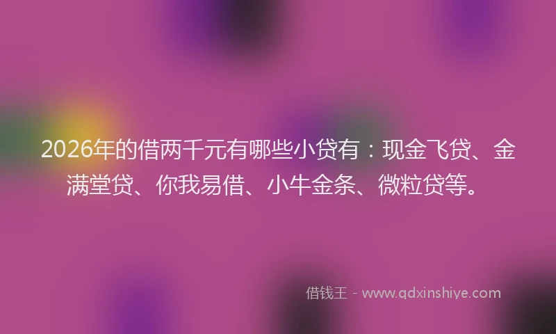 2026年的借两千元有哪些小贷有：现金飞贷、金满堂贷、你我易借、小牛金条、微粒贷等。