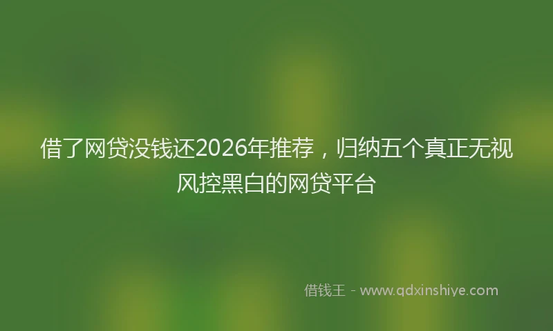 借了网贷没钱还2026年推荐，归纳五个真正无视风控黑白的网贷平台