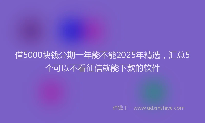 借5000块钱分期一年能不能2025年精选，汇总5个可以不看征信就能下款的软件