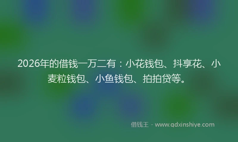 2026年的借钱一万二有：小花钱包、抖享花、小麦粒钱包、小鱼钱包、拍拍贷等。