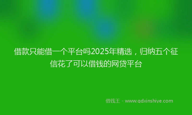 借款只能借一个平台吗2025年精选，归纳五个征信花了可以借钱的网贷平台