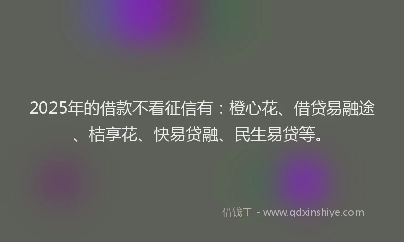 2025年的借款不看征信有：橙心花、借贷易融途、桔享花、快易贷融、民生易贷等。