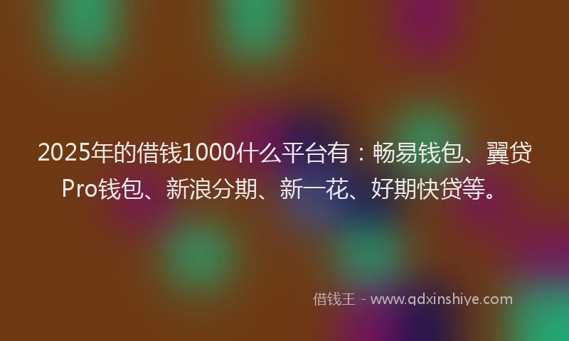 2025年的借钱1000什么平台有：畅易钱包、翼贷Pro钱包、新浪分期、新一花、好期快贷等。