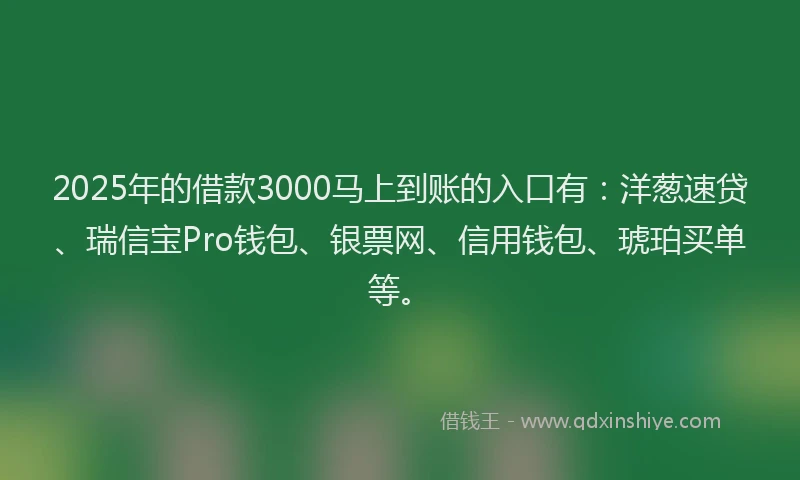 2025年的借款3000马上到账的入口有:洋葱速贷、瑞信宝Pro钱包、银票网、信用钱包、琥珀买单等。