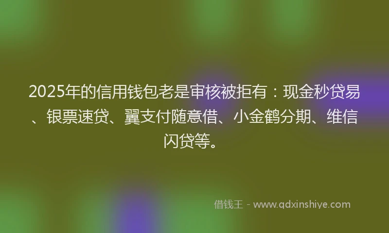 2025年的信用钱包老是审核被拒有：现金秒贷易、银票速贷、翼支付随意借、小金鹤分期、维信闪贷等。