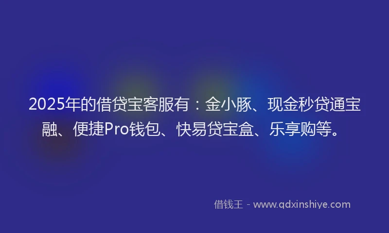 2025年的借贷宝客服有:金小豚、现金秒贷通宝融、便捷Pro钱包、快易贷宝盒、乐享购等。