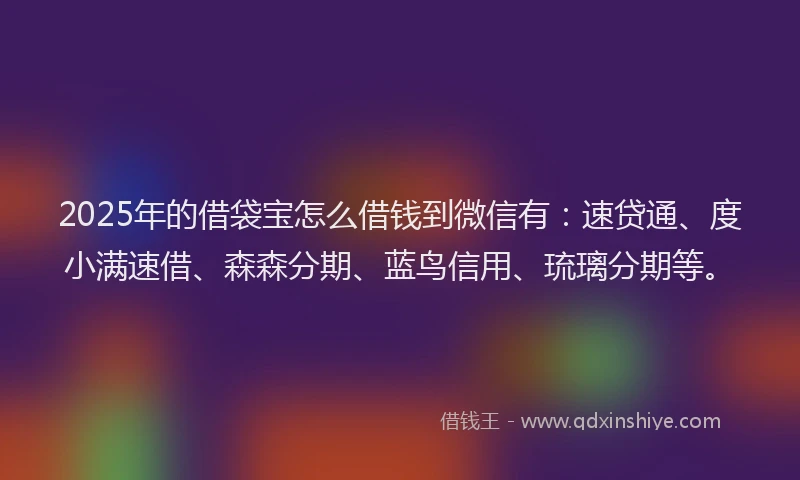 2025年的借袋宝怎么借钱到微信有：速贷通、度小满速借、森森分期、蓝鸟信用、琉璃分期等。