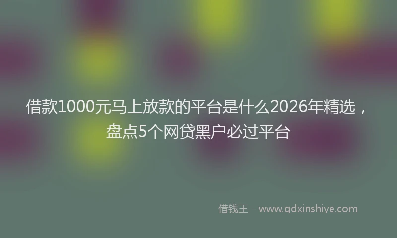 借款1000元马上放款的平台是什么2026年精选，盘点5个网贷黑户必过平台