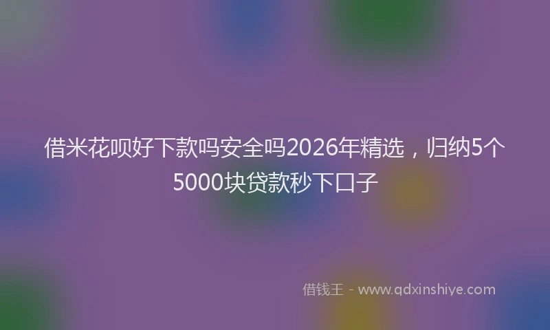 借米花呗好下款吗安全吗2026年精选，归纳5个5000块贷款秒下口子