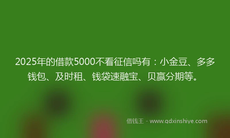 2025年的借款5000不看征信吗有:小金豆、多多钱包、及时租、钱袋速融宝、贝赢分期等。