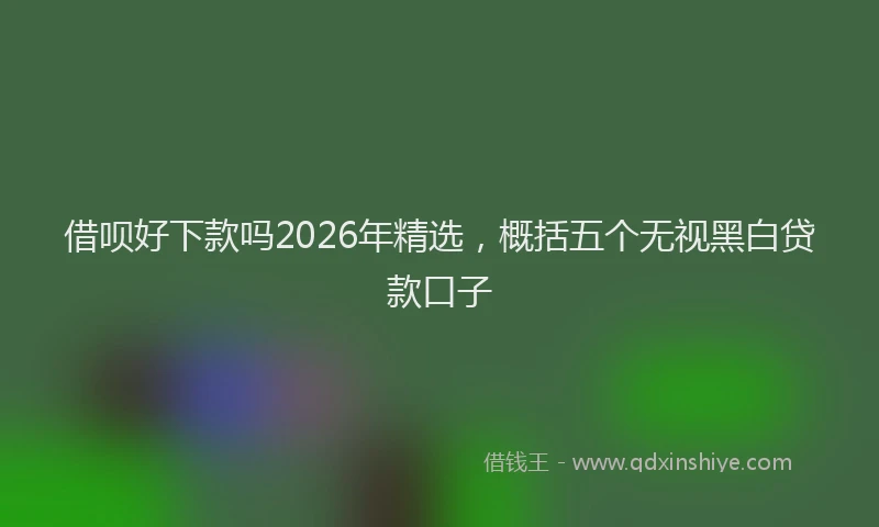 借呗好下款吗2026年精选,概括五个无视黑白贷款口子