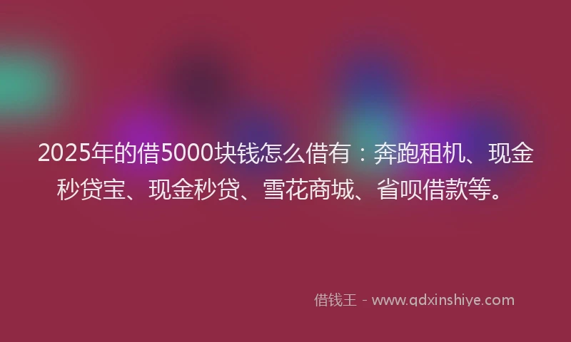 2025年的借5000块钱怎么借有:奔跑租机、现金秒贷宝、现金秒贷、雪花商城、省呗借款等。
