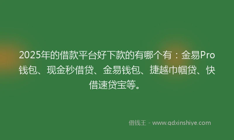2025年的借款平台好下款的有哪个有:金易Pro钱包、现金秒借贷、金易钱包、捷越巾帼贷、快借速贷宝等。