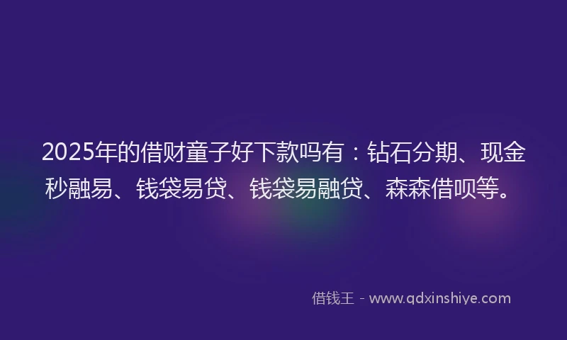 2025年的借财童子好下款吗有：钻石分期、现金秒融易、钱袋易贷、钱袋易融贷、森森借呗等。