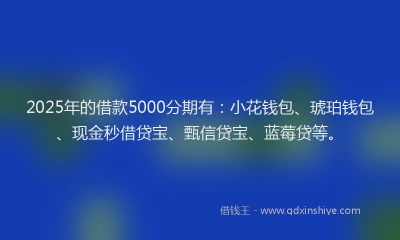 2025年的借款5000分期有:小花钱包、琥珀钱包、现金秒借贷宝、甄信贷宝、蓝莓贷等。