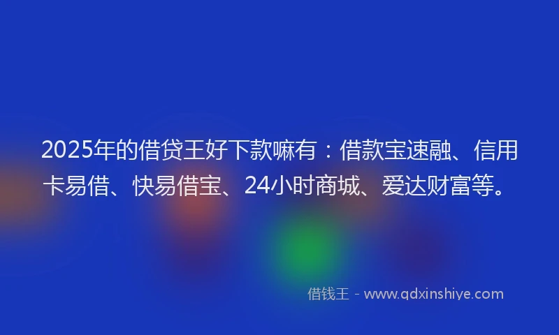 2025年的借贷王好下款嘛有：借款宝速融、信用卡易借、快易借宝、24小时商城、爱达财富等。