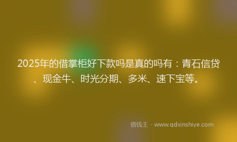 2025年的借掌柜好下款吗是真的吗有：青石信贷、现金牛、时光分期、多米、速下宝等。