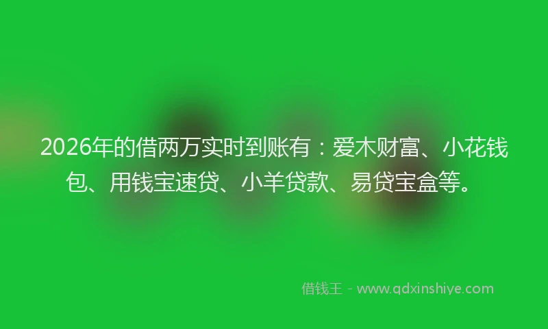 2026年的借两万实时到账有:爱木财富、小花钱包、用钱宝速贷、小羊贷款、易贷宝盒等。
