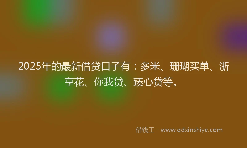2025年的最新借贷口子有：多米、珊瑚买单、浙享花、你我贷、臻心贷等。