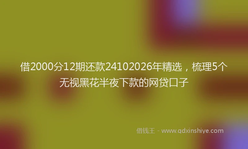 借2000分12期还款24102026年精选,梳理5个无视黑花半夜下款的网贷口子
