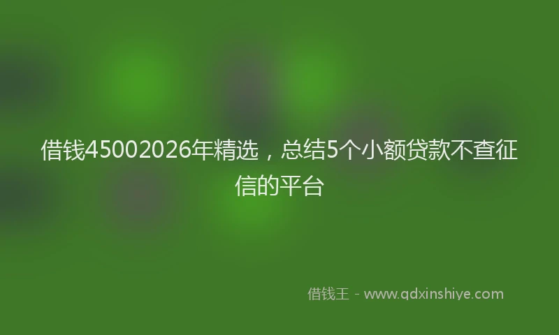 借钱45002026年精选，总结5个小额贷款不查征信的平台