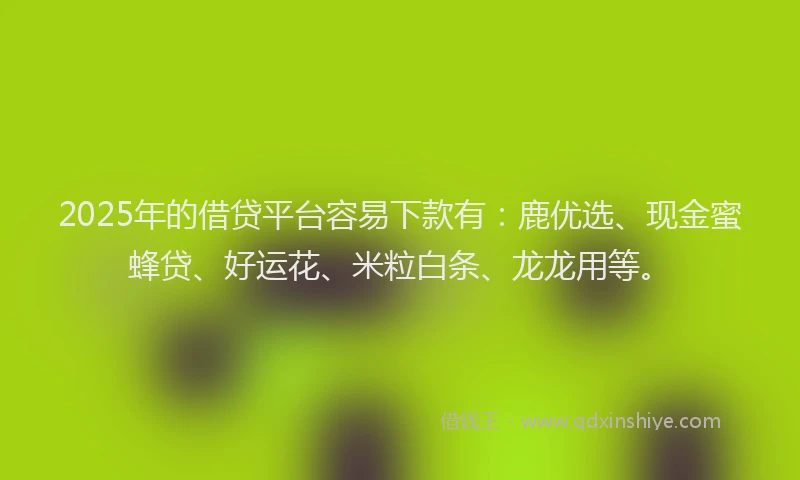 2025年的借贷平台容易下款有：鹿优选、现金蜜蜂贷、好运花、米粒白条、龙龙用等。