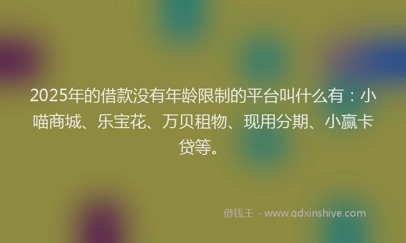 2025年的借款没有年龄限制的平台叫什么有:小喵商城、乐宝花、万贝租物、现用分期、小赢卡贷等。