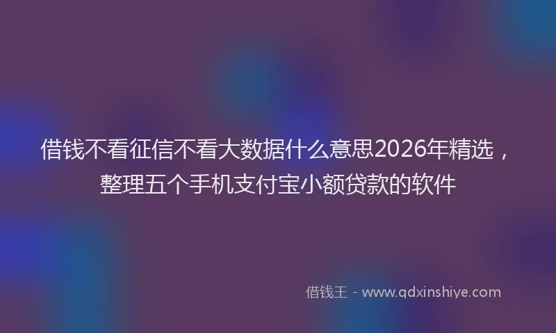 借钱不看征信不看大数据什么意思2026年精选，整理五个手机支付宝小额贷款的软件
