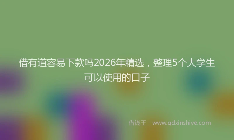 借有道容易下款吗2026年精选，整理5个大学生可以使用的口子