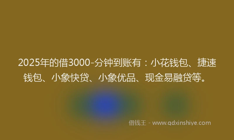 2025年的借3000-分钟到账有：小花钱包、捷速钱包、小象快贷、小象优品、现金易融贷等。
