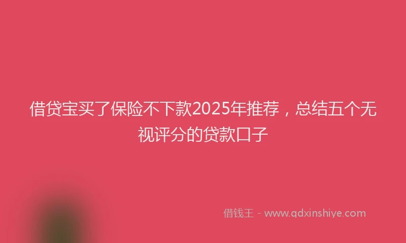 借贷宝买了保险不下款2025年推荐,总结五个无视评分的贷款口子