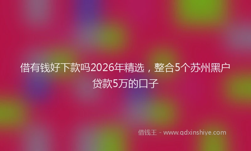 借有钱好下款吗2026年精选，整合5个苏州黑户贷款5万的口子
