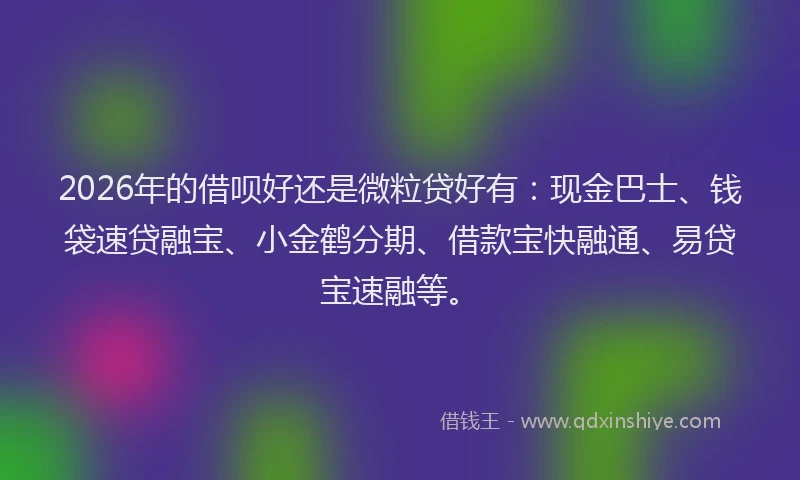 2026年的借呗好还是微粒贷好有：现金巴士、钱袋速贷融宝、小金鹤分期、借款宝快融通、易贷宝速融等。