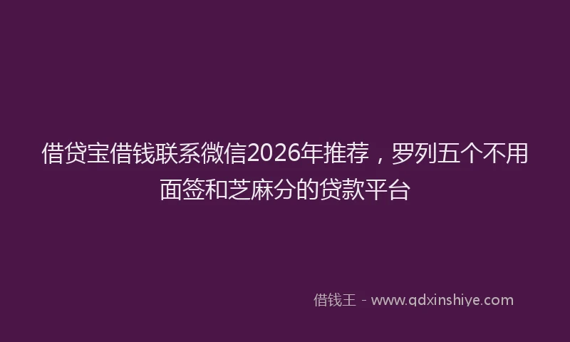 借贷宝借钱联系微信2026年推荐，罗列五个不用面签和芝麻分的贷款平台
