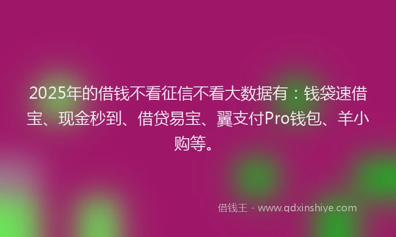 2025年的借钱不看征信不看大数据有：钱袋速借宝、现金秒到、借贷易宝、翼支付Pro钱包、羊小购等。