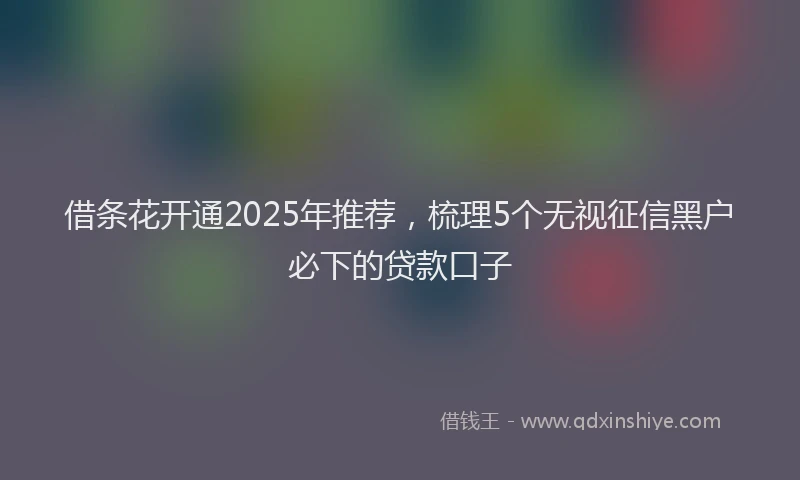 借条花开通2025年推荐，梳理5个无视征信黑户必下的贷款口子