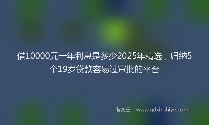 借10000元一年利息是多少2025年精选，归纳5个19岁贷款容易过审批的平台